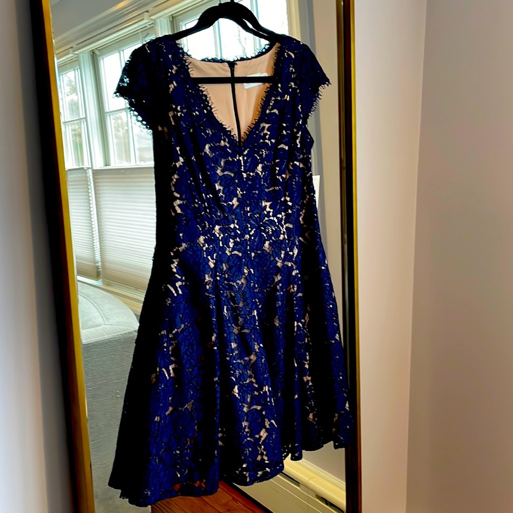 Eliza j fit and flare cap sleeve lace dress